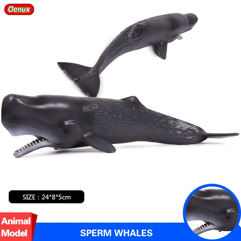 Oenux реалистичные водные животные фигурки Морская жизнь Акула кит дельфин рыба черепахи ПВХ модель игрушки для детей - Цвет: Without Box