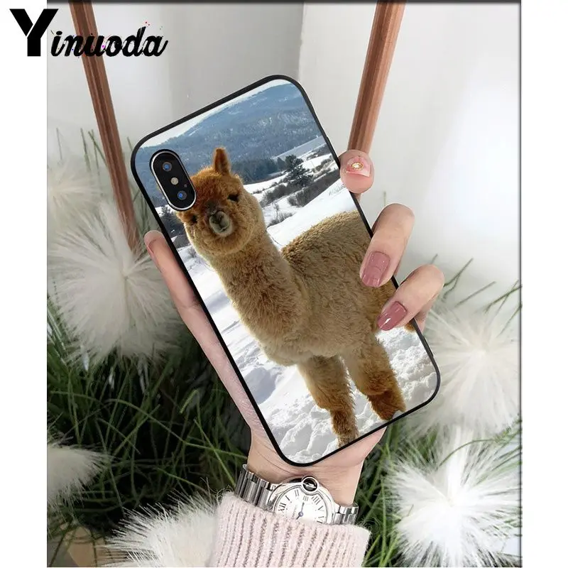 Yinuoda лама Alpacas животное умный чехол черный мягкий чехол для телефона для iPhone X XS MAX 6 6S 7 7plus 8 8Plus 5 5S XR - Цвет: A5