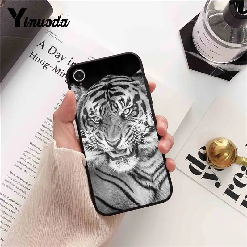 Cool Tiger Owl Cat Cartoon