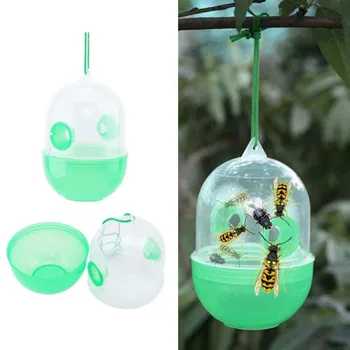 

Dropshipping Bugs Trap Insect Bee Trapper Keeping Tools Pest Control Garden Supplies 8PCS