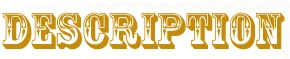 HTB1RYa8RFXXXXXPaFXXq6xXFXXXI