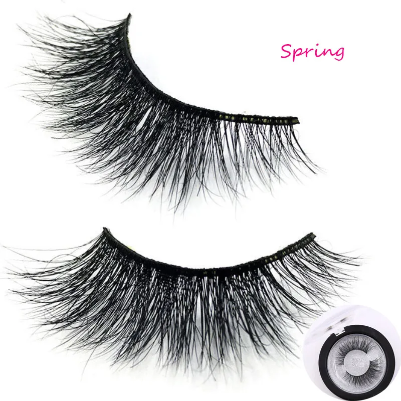 winged lashes (1)