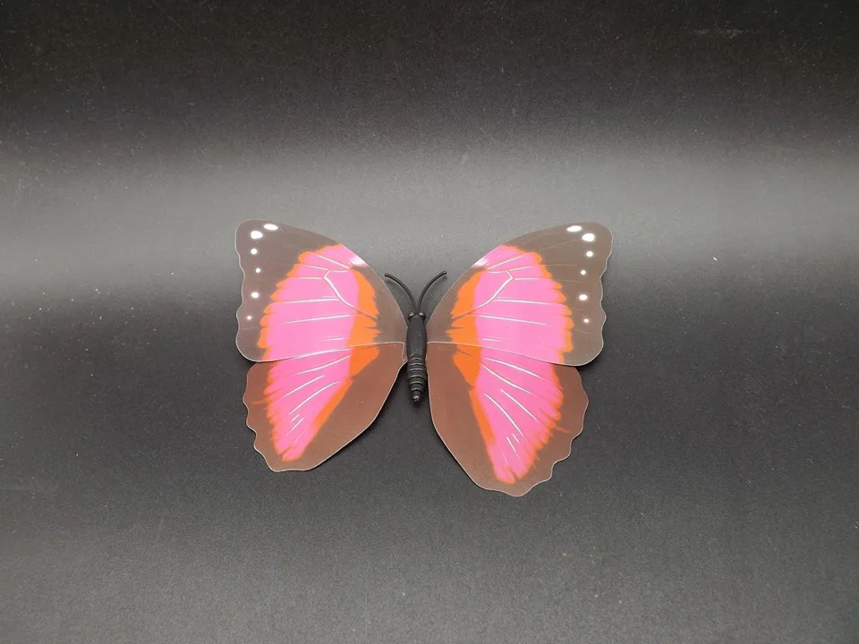 I235-Butterfly (5)