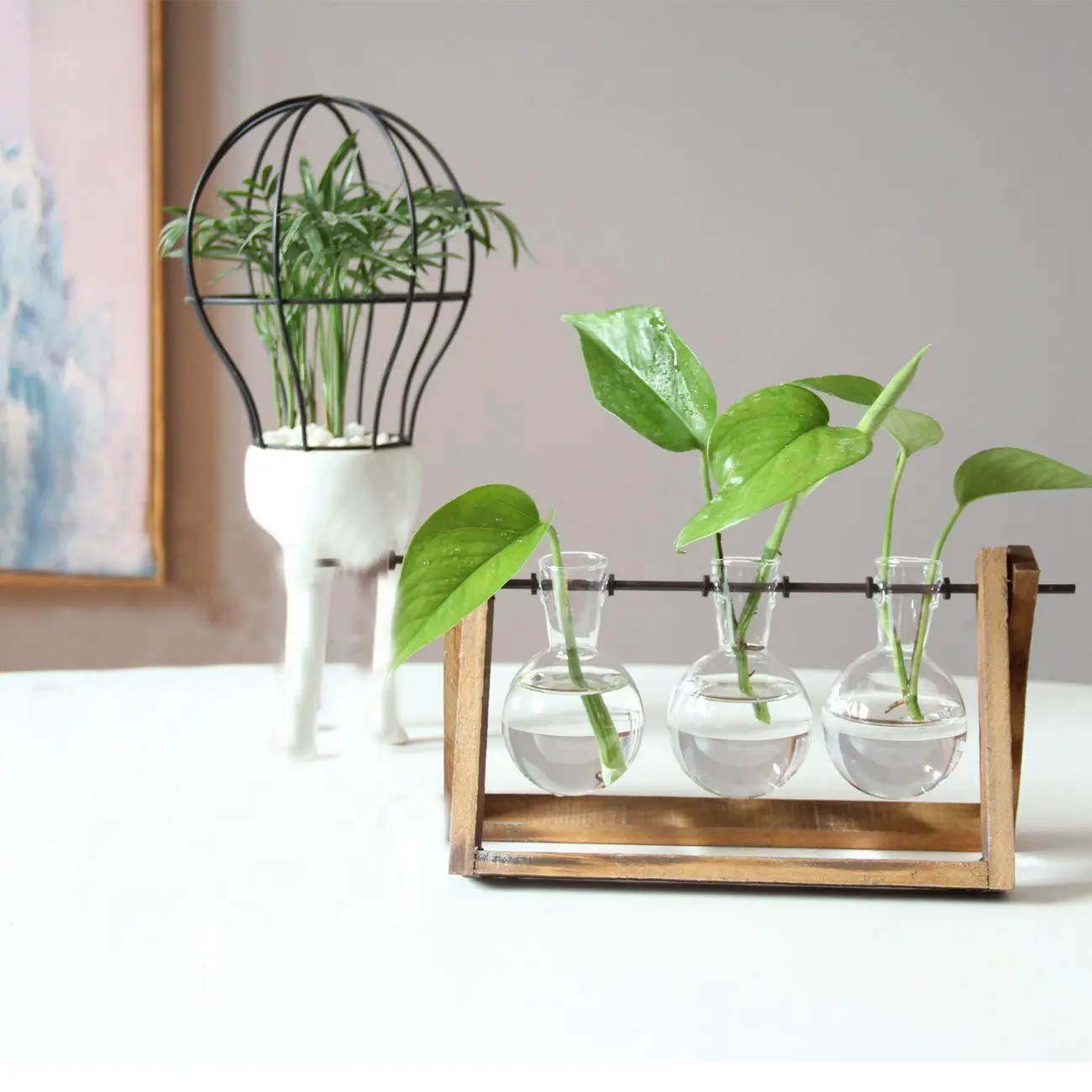 Plant Terrarium with Wooden Glass Vase Holder