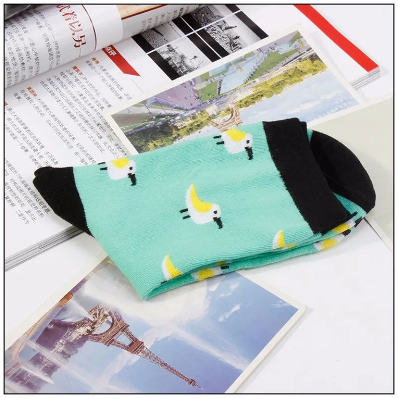 conew_1 (6)