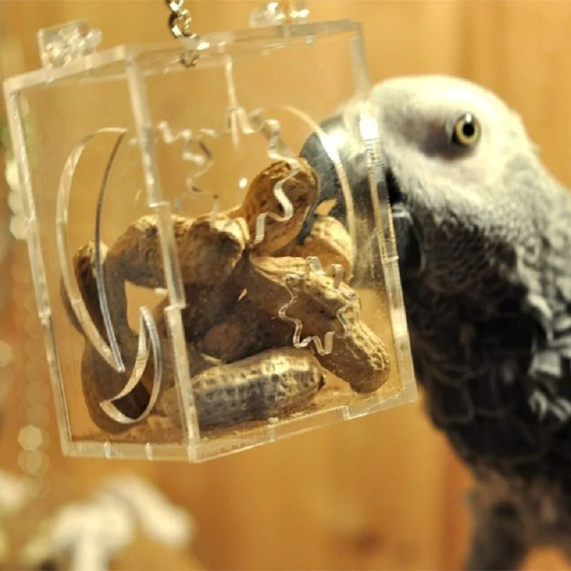 Parrot Bird Toy Hang Foraging Pet Treat Hunt Macaw Cockatoo Budgie Bird