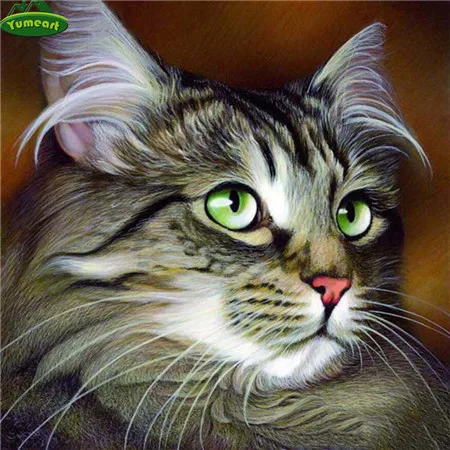 YUMEART животное цветок кошка Сделай Сам кристальная квадратная 5D алмазная Картина Набор для вышивки крестом мозаика котенок картина Стразы художественные изделия - Цвет: 5904568