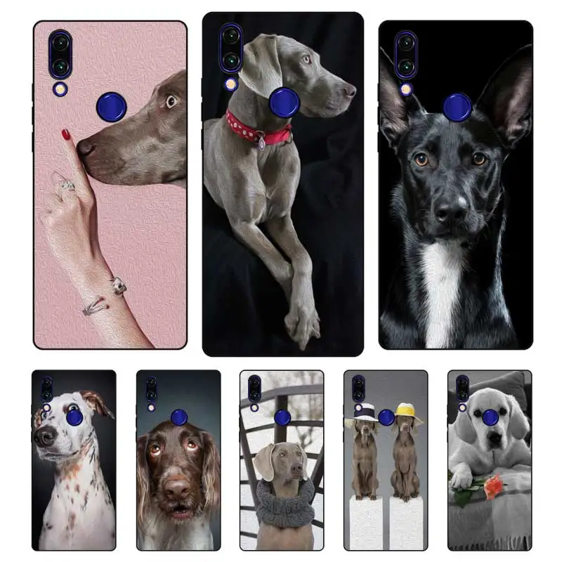 N464 Weimaraner Cute Black Silicone Case Cover For Xiaomi Redmi Note 3 4 4X 5 5A 6 7 Pro Global |
