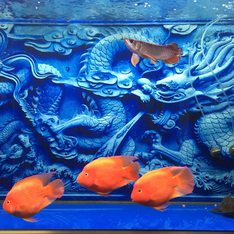 Aquarium Decoration Aquarium Decoration 3d Fond Chinois Dragon Camee Imprimer Aliexpress