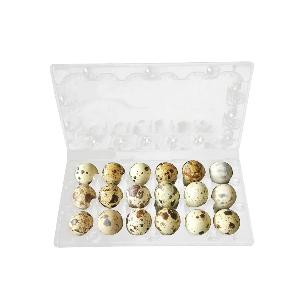 

50 Pcs Quail Egg Storage Box Plastic 18 Grids Transparent Egg Carrier Dispenser Container for Refrigerator Kitchen Home