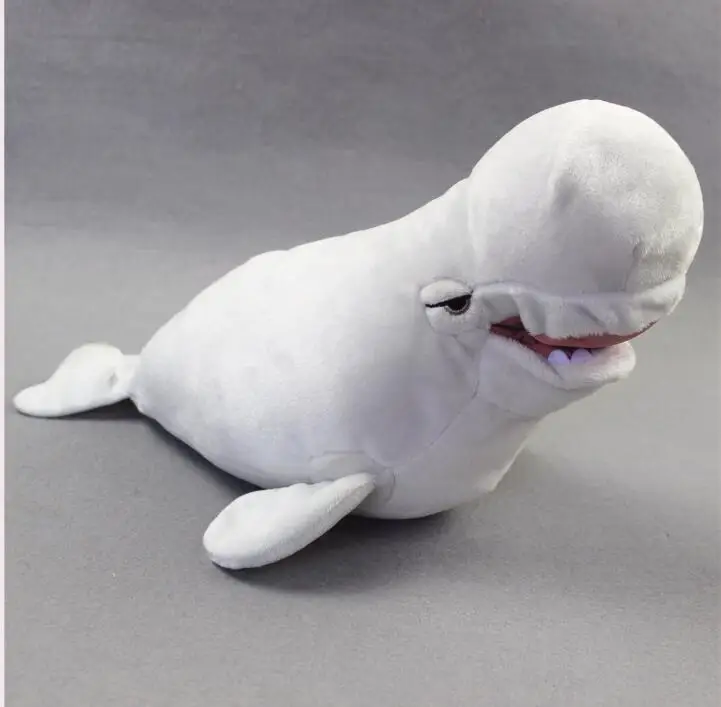 beluga whale soft toy