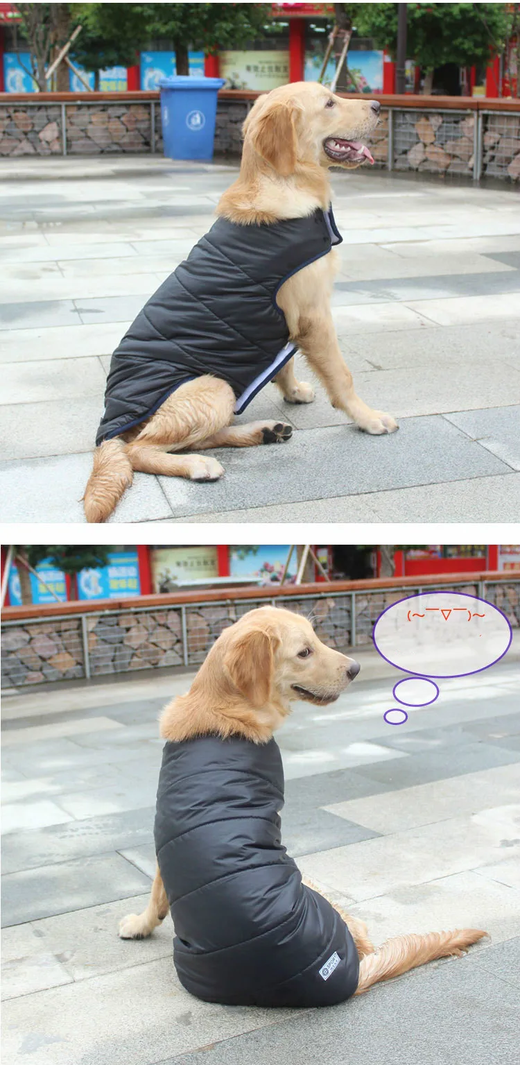 4703573503_609020808_meitu_9