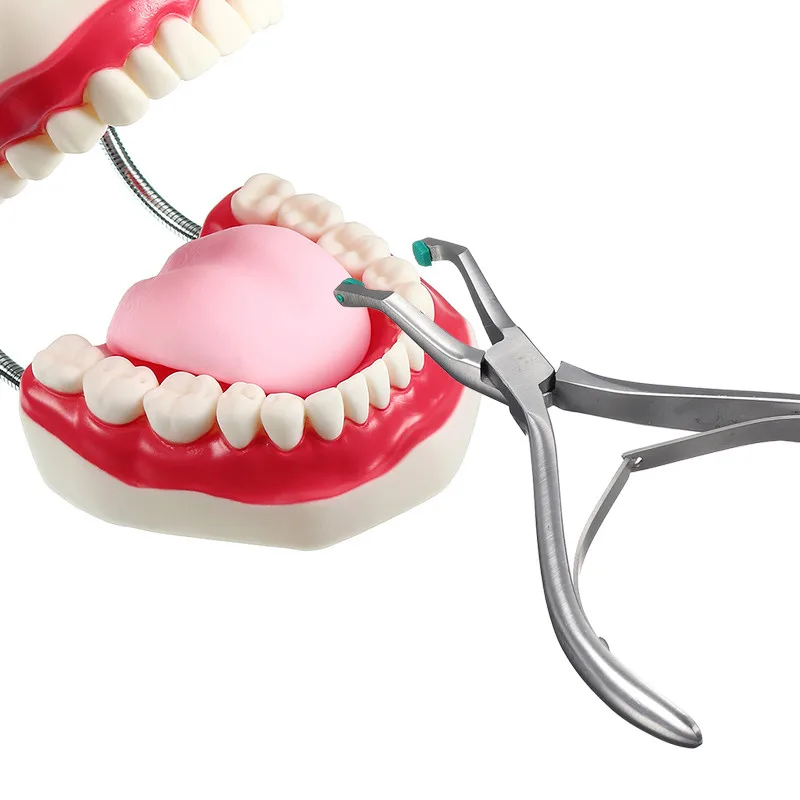 Dental Crown Plier With Green Rubber Tipped Stainless Steel Temporary