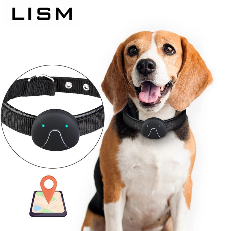 Localizador con Collar para perros, localizador inteligente de alta calidad, rastreador antipérdida con para mascotas| Localizadores GPS| - AliExpress