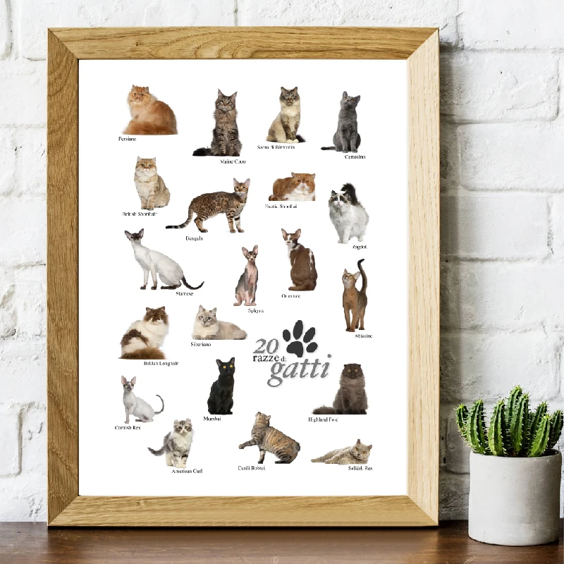 Cat breeds poster in Italian canvas prints Home Decor3