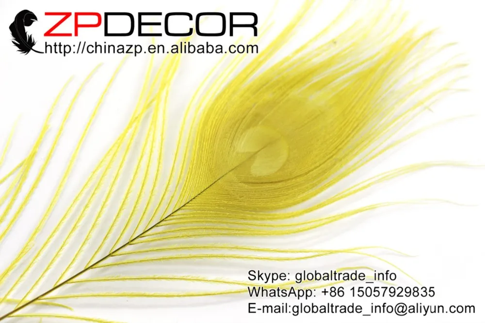 7 Yellow Peacock Tail Feather (166)