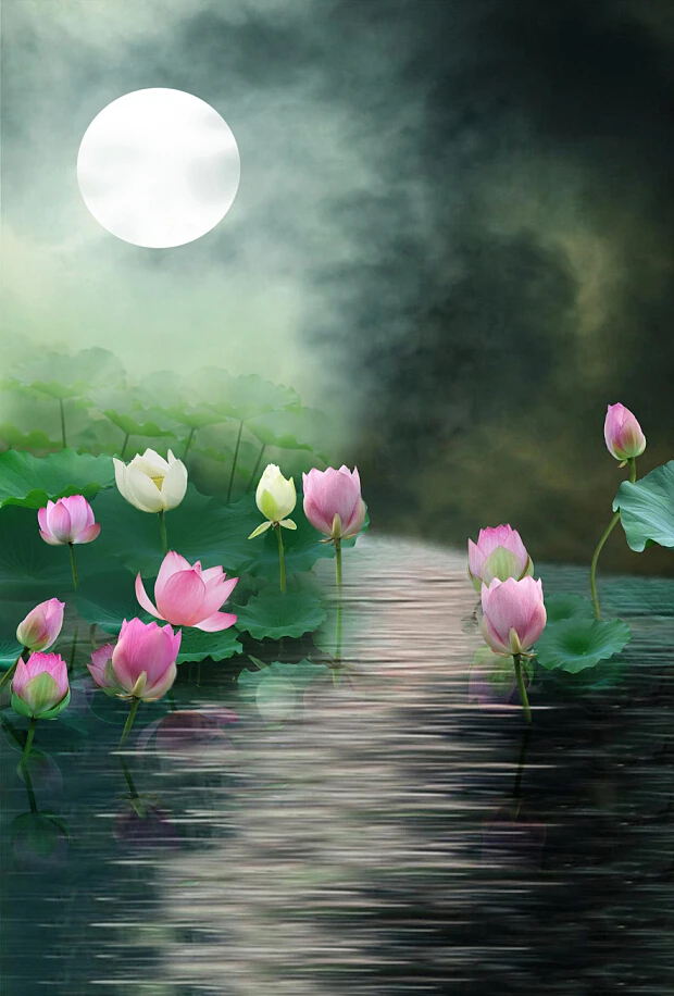 200CM*150CM Backgrounds Night Moon lotus pond Flower Blooming the vinly