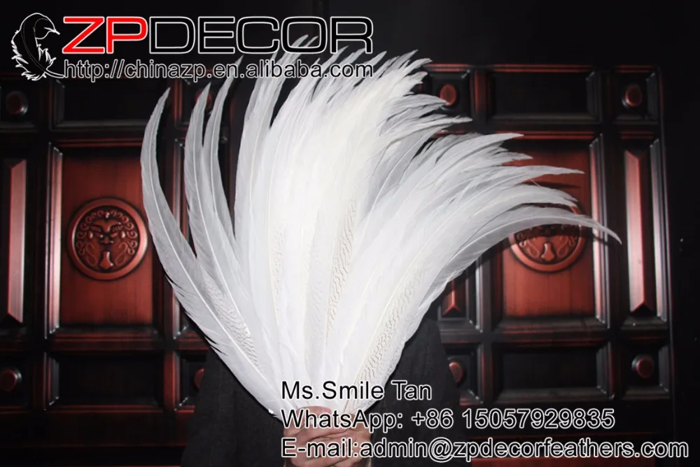 Розничная и оптовая продажа от ZPDECOR 29 30 дюймов (75 80 см) 20 шт./лот отбеленные белые
