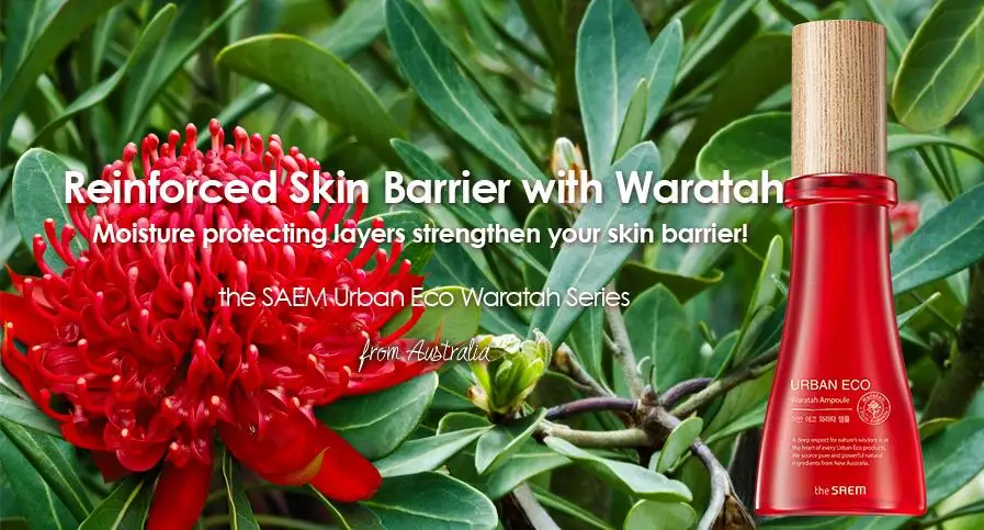 THE SAEM Urban Eco Waratah ампула 55 мл Корея Ceramide отбеливающая Сыворотка для лица сильная увлажняющая эссенция уход за кожей лица гладкая