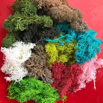 

30g/Bag Dry Natural Fresh Moss,Real Eternal Dried Grass For DIY Decorative Preserved Flowers Accessories,Artificial Turf,Bonsai