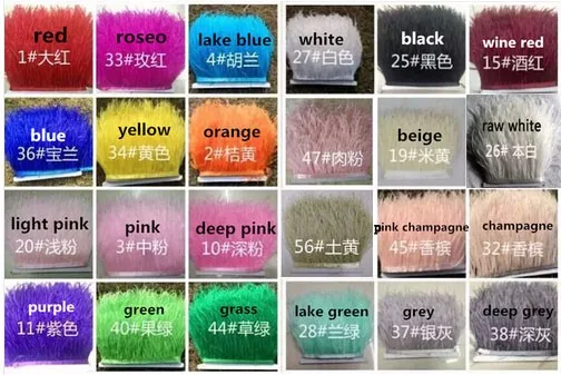 24colors1