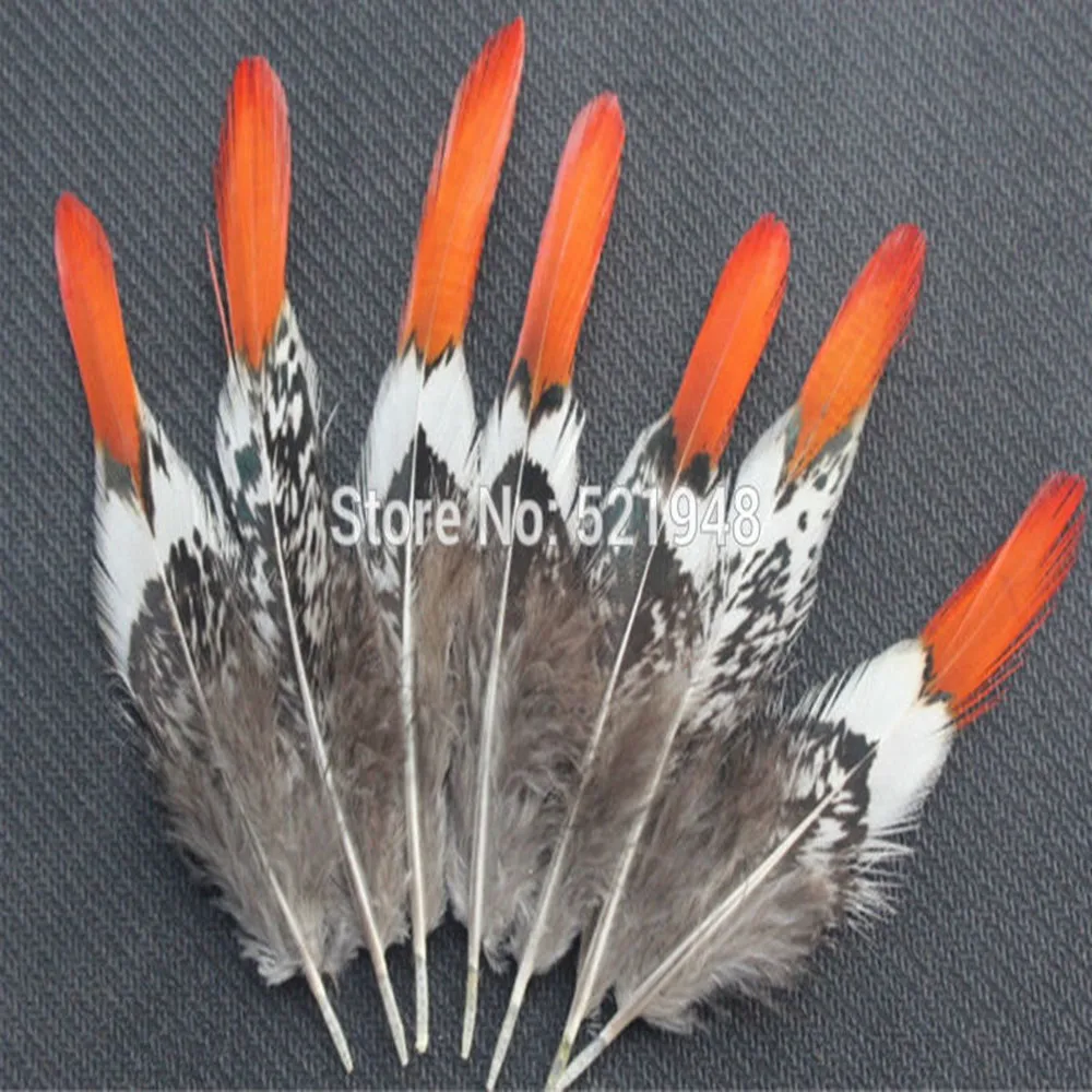 

Cheap! 10 pcs Lady Amherst Pheasant Tail Feathers 4-6 inch / 10-15 cm Craft plume home decoration clothing accessories