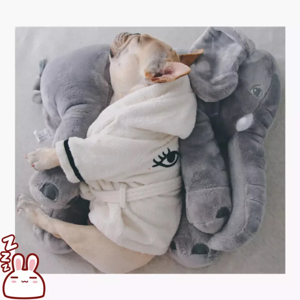 Кукла-Слон, метод борьбы, тактика, корги, Шиба, Tobago, бит, спящий партнер, собака, кошка, игрушка, подушка