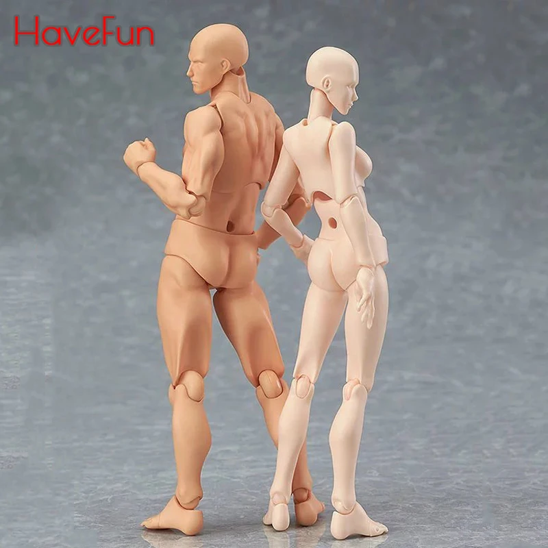 

HaveFun Anime Archetype He She Ferrite Figma Movable BODY KUN BODY CHAN PVC Action Figure Model Toys Doll for Collectible drop