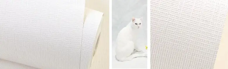 QQ20190419230519