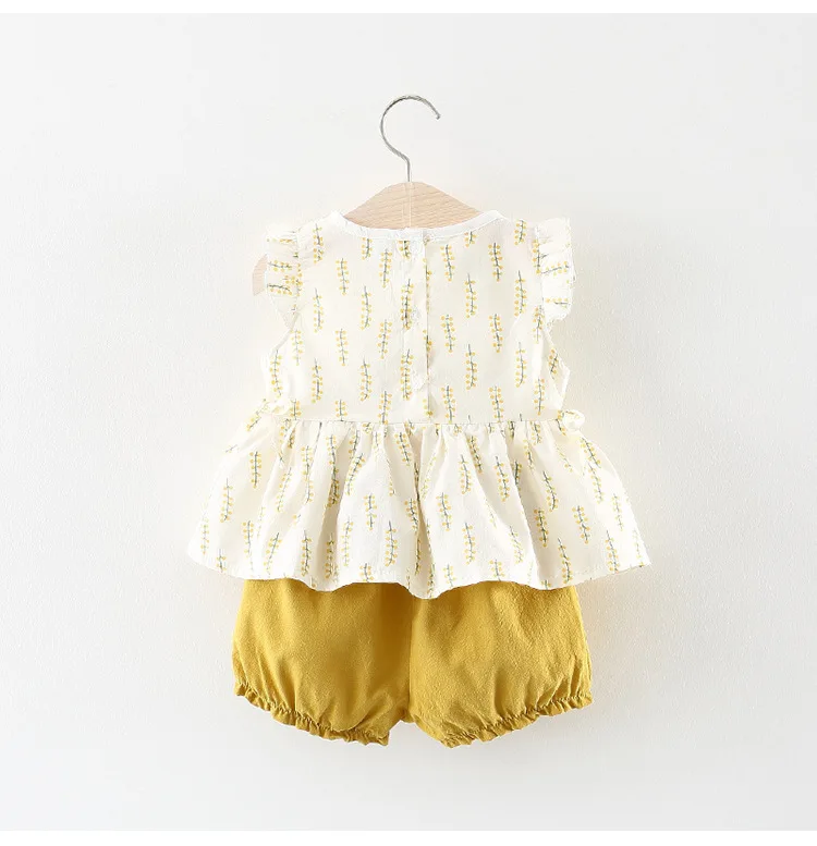 New Born Baby Girls Clothing Sets Princess Dress Tops+Hot short Pants 2 Pcs Kids Outfits Sets 2018 Children Summer Clothes Set (2)