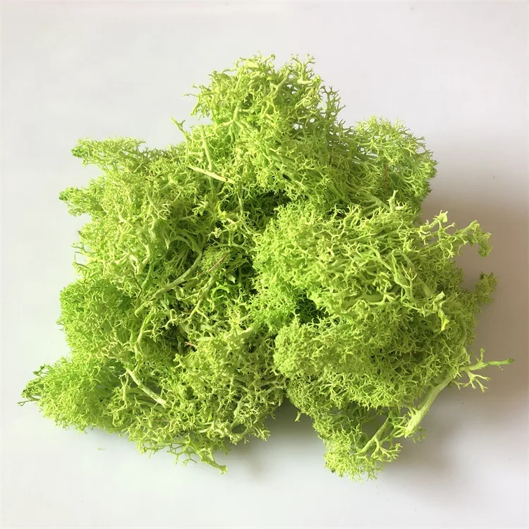 Immortal moss diy flower accessories (8)