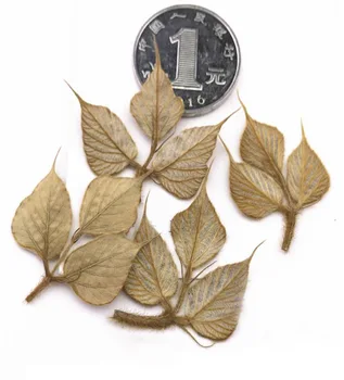 

120pcs 1.5cm Pressed Dried Lobed Kudzuvine Leaf Plant Herbarium For Jewelry Phone Case Photo Frame Bookmark Craft DIY Making