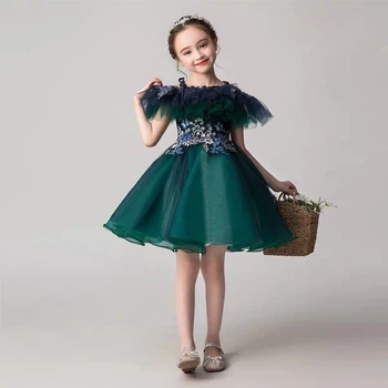 

Little Kids Babys Elegant Embroidery Flowers Birthday Evening Party Ball Gown Mesh Dress Teens Infant Piano Costume Tutu Dress