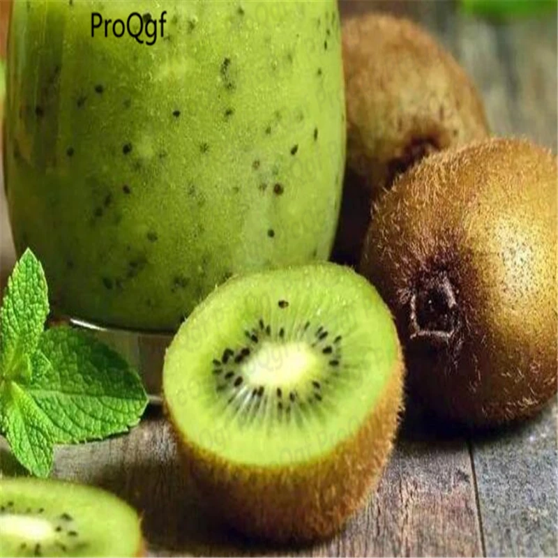 

5000Pcs A Set Kiwi Fruit Actinidia Chinensis