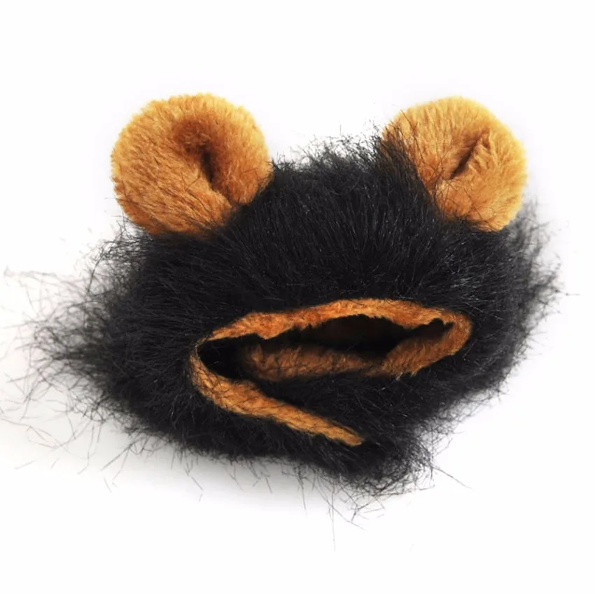 petwig102