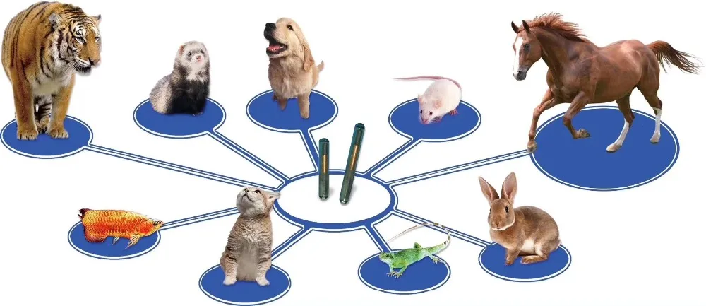 HTB1k.JSwmtYBeNjSspaq6yOOFXaL