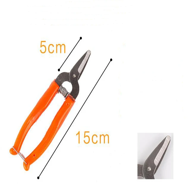 high quality stainless steel orange scissors small fruit tree pruning shear fruit scissors for gardening fruit experts