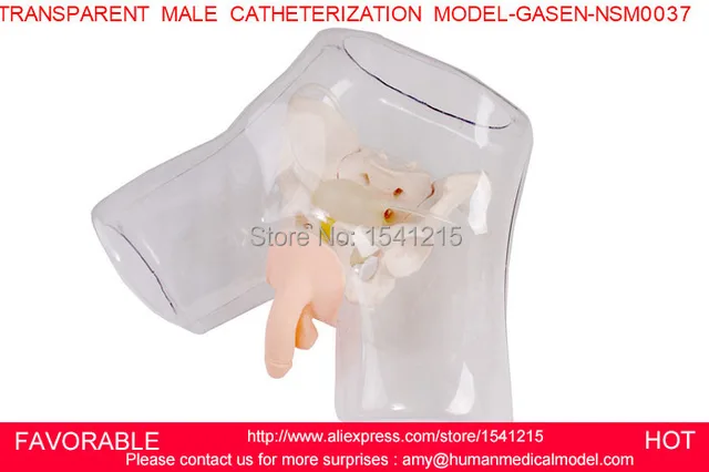 urinary catheterization