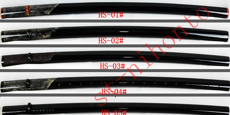 hs101
