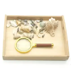 Montessori sensorial Материал раковины деятельности Обучающие деревянные игрушки для детей в возрасте от 3 лет Juguetes Монтессори MF0444H