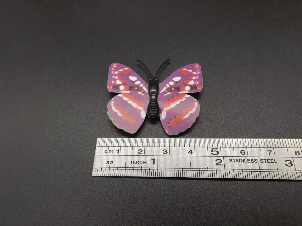I247-Butterfly (10)