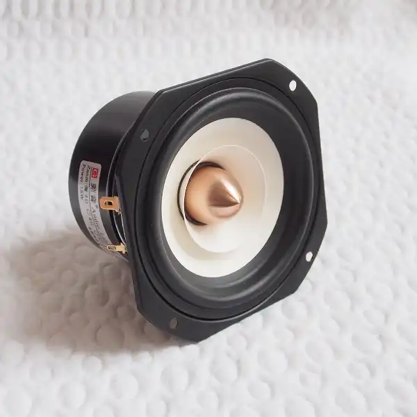fostex 3 inch full range