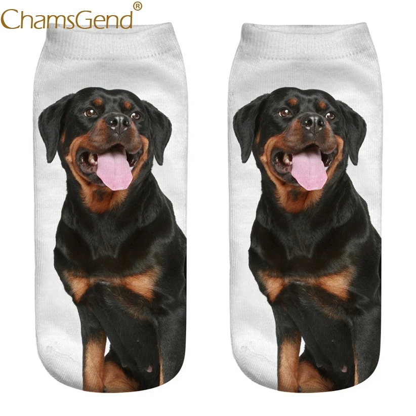 designer rottweiler