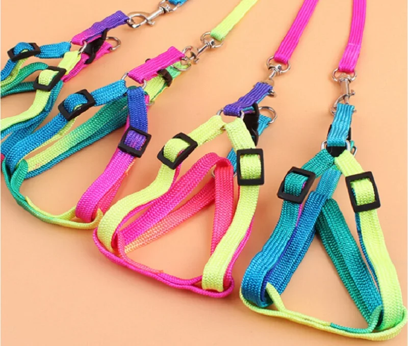 D71_Colorful_Nylon_Dog_Harness_with_leash_lead_Cheap_Rainbow_Small_Puppy_Dogs_Cats_Harness_Set_for_Yorkshire_Pet_Accessories_2