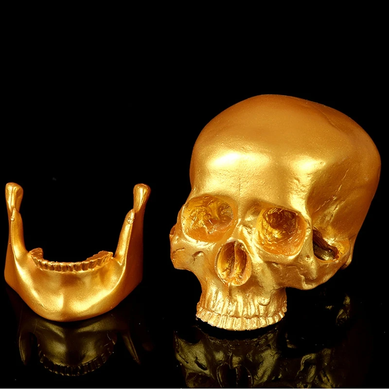 

Room art furnishings Golden dragonfly Golden skull Film perspective Net red classic Halloween gift home decoration medical skull