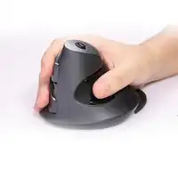 Delux M618 Wireless Mouse Vertical USB Optical Mouse Ergonomic For PC Laptop Computer
