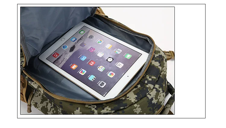 3773898243_1375017418