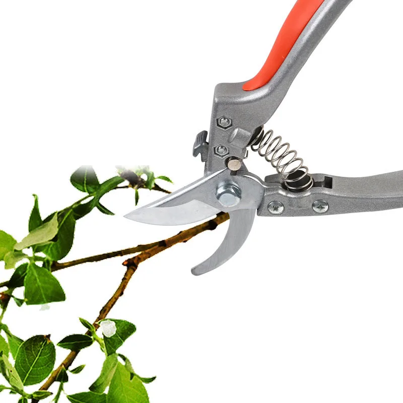 SK5 spring steel gardening scissors potted pruning bonsai branches shears grape garden picking | Инструменты