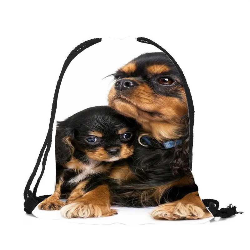 

Super Soft Polyester Casual Shoulder Bag for Boys Girls Cute Charles Spaniel Bichon Print Drawstring Backpack Travel Storage Bag