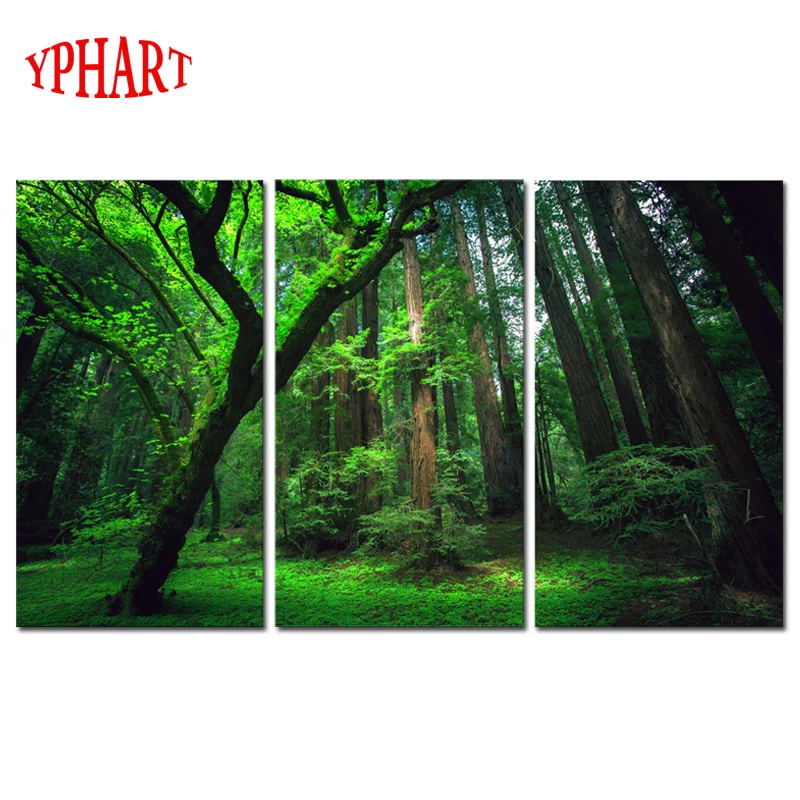 

3 Panels Green Forest HD Canvas Print Painting Artwork Modern Home Wall Decor Painting Canvas Art HD Picture On Canvas Prints